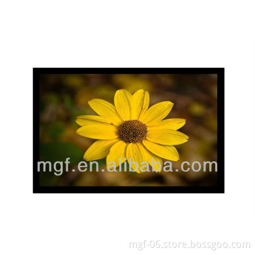 Acoustically transparent projection screen with black velvet borders